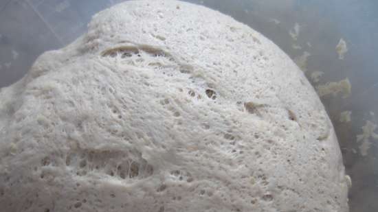 Sourdough dough on a long dough and brine from a mixture of flour and bran for khachapuri (bread, roll)