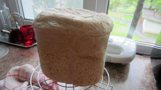 Pane di grano su pasta matura (autolievitazione)