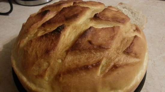 Pane di grano su pasta matura (autolievitazione)