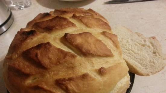 Pane di grano su pasta matura (autolievitazione)