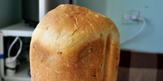 Pane alla cipolla e aneto (macchina per il pane)