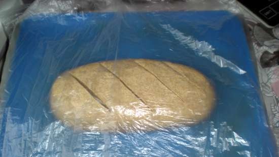 Pane di segale fermentato con lievito madre