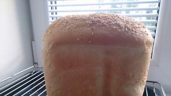 Pane in latta di patate di grano (forno)