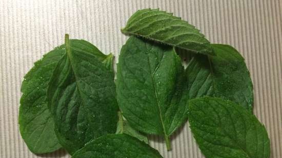 Menta tostada