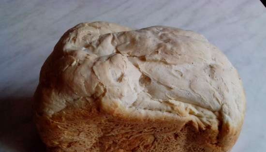 Moulinex. Pane bianco con cipolle.