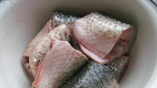 Pesce in fermentazione