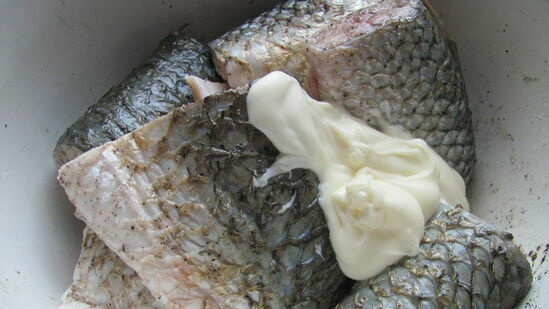 Pesce in fermentazione