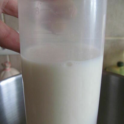 Tang-jong milk tinapay