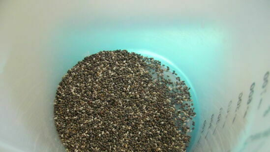 Chia seed pudding