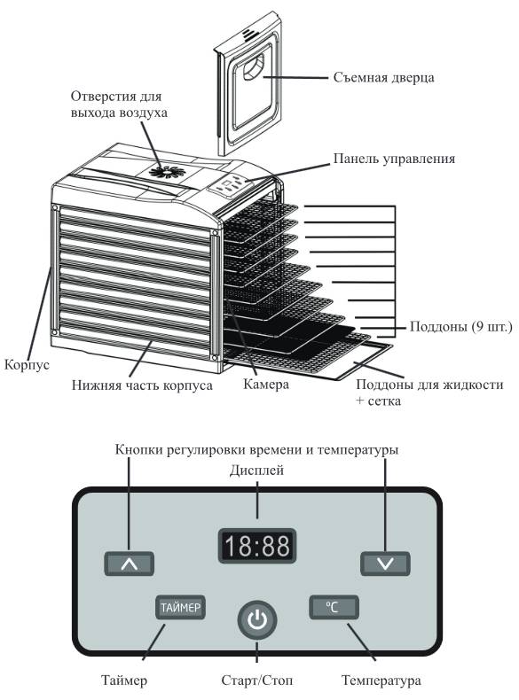 Kitfort KT-1909. Сушилня с девет палети