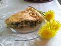 Green onion pie