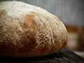 Rustic wheat bread