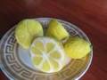 Limoni di mastice (master class)