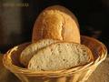 Whole Wheat Bread