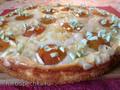 German Apricot Curd Pie (Aprikosen Quark Kuchen)