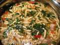 Chicken Soup with Passatelli (Tescoma Potato Maker)