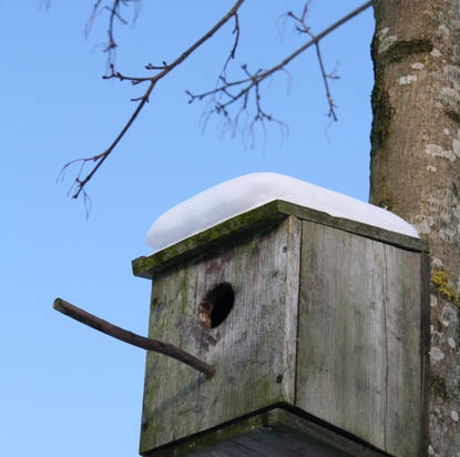 Februari in de buitenwijken