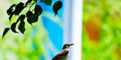 Nightingale személyes élete