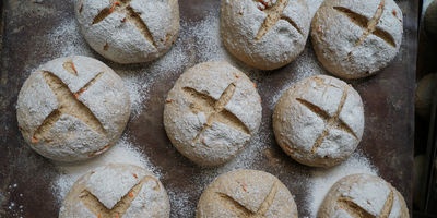 Geen lunch zonder brood