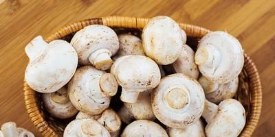 Hoe champignons correct te koken