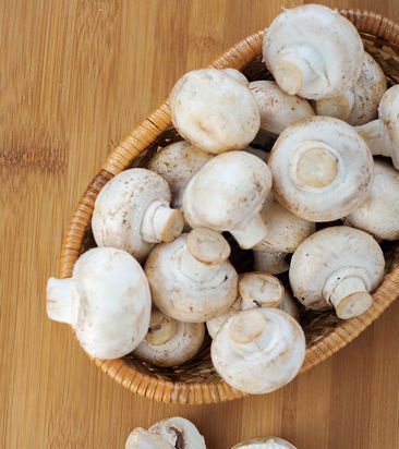 Champignons en creixement