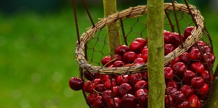 Cherries