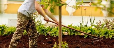 Biologische landbouw - terugkeren naar de natuur