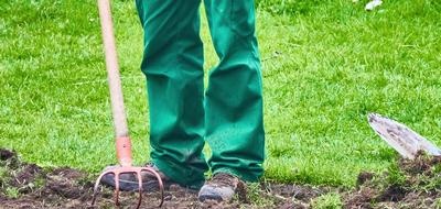 Nozioni di base sul giardinaggio