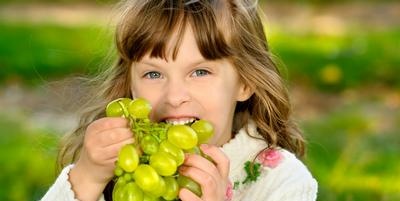 Grape cultivation