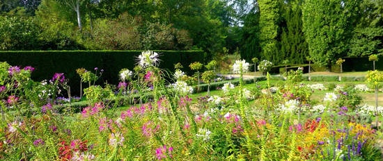 Jardín de floración continua