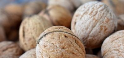 Variedades de nueces en Uzbekistán