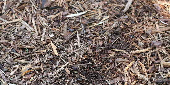 Green fertilizer and grass mulch