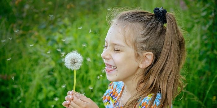 Dandelion Secrets