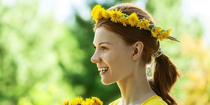 Dandelion Secrets