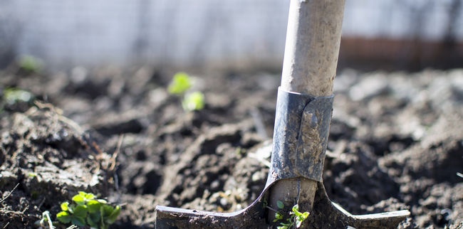 Soil cultivation