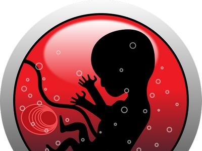 Funzionamento del sistema madre-placenta-feto