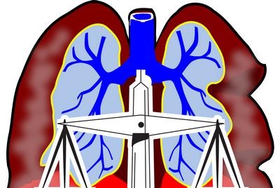 Datos interesantes sobre los efectos del aire en la salud humana