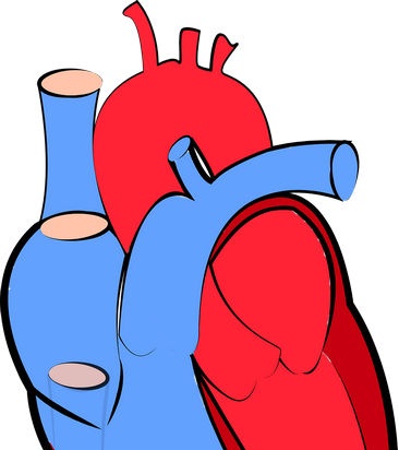 Prevención de la aterosclerosis.