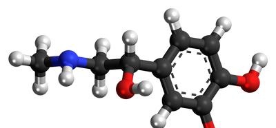 อนาคตของ prostaglandins