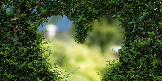 Il cuore è protetto