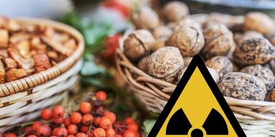 Radioactivitat i alimentació humana