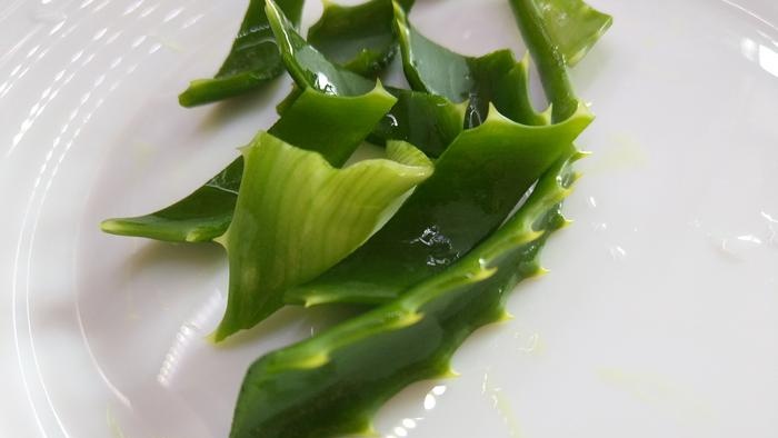 Aloe Vera benefits and ways to add it to your diet