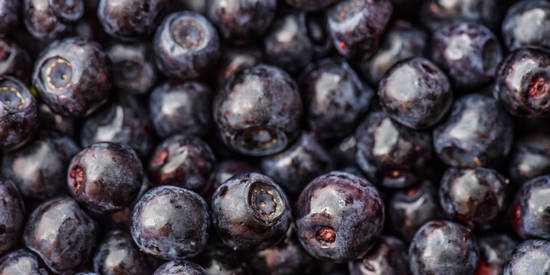 Paano nakakaapekto ang blueberry sa aktibidad ng utak ng mga bata