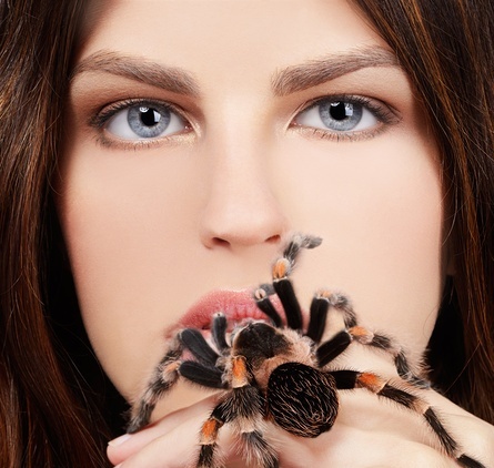 Exotic cuisine: spiders