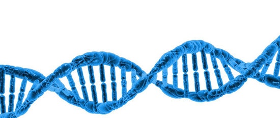 How protein structures are built