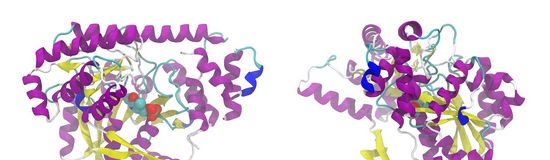 Com es construeixen les estructures proteiques