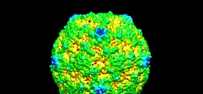 النبضات العصبية و RNA