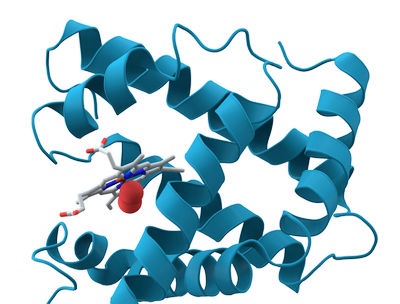 The birth of molecular biology