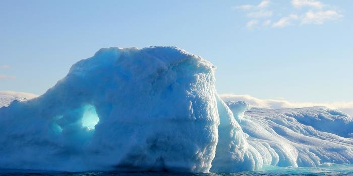 Natura della Groenlandia