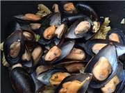 Mussels in cider